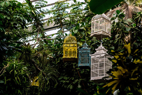Wilhelma Zoo, Stuttgart, Germany | August 2018Instagram | VSCO