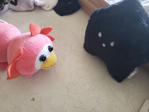 The Boi Has Arrived!