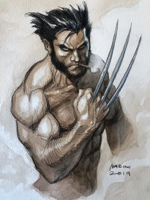 wolverineholic: by Enrico Marini