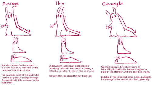Last night my internet when out and in boredom I decided to? Think about slugcat fat distribution. S
