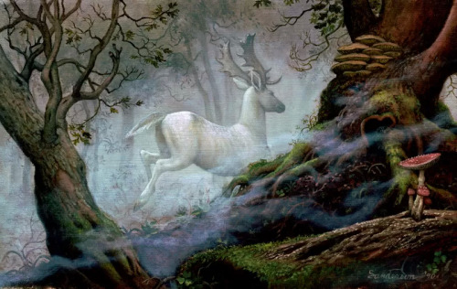 euro-girl:  The white stag was a common symbol in European folklore, making an appearance in many different cultures and legends. The Celtic people considered them to be prophets, messengers of different worlds. White stags heralded purity, as the colour