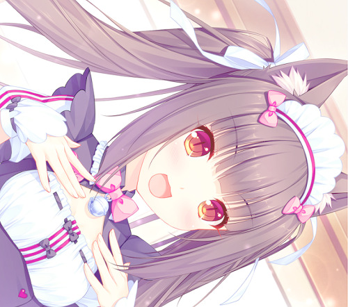 chocoacat:nekopara  ☆ 