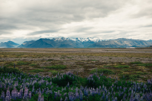 Eastern Iceland.