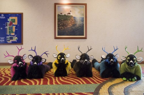 Row of Prized Bucks - by Temperance porn pictures