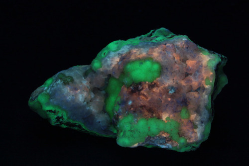 arockmaniac:Druzy/agatey rock from unknown location shown under mid-wave ultraviolet, short wave ult