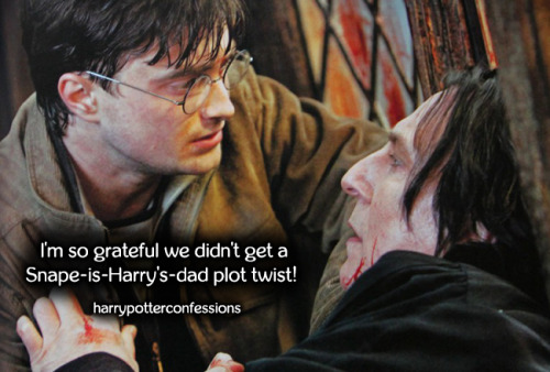 I’m so grateful we didn’t get a Snape-is-Harry’s-dad plot twist!