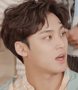 seokgyus:mingyu x billboard korea