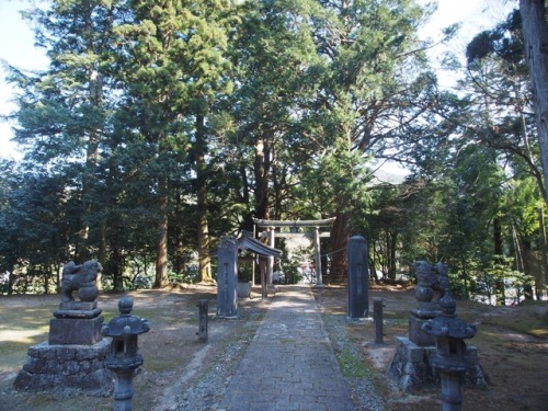 Yasaka Shrine, Hiroshima300 Year Old TreesKitahiroshima Town Hiroshima Prefecture.