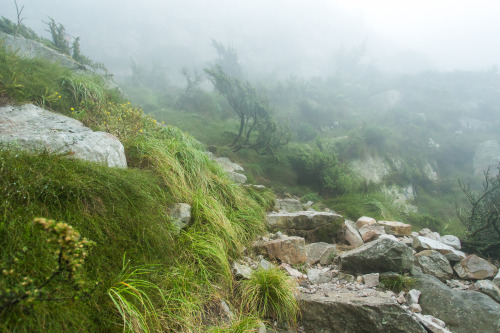 XXX 90377:  	Hike Table Mountain by Coldy Bank photo