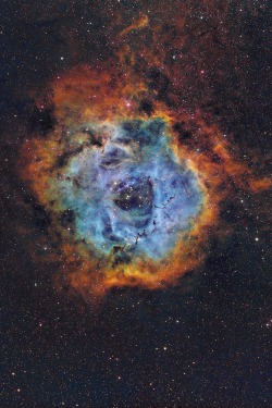 0ce4n-g0d:NGC 2237 Rosette Nebula narrowband by Luca X