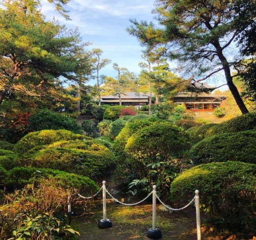 ＼おにわさん更新情報／ ‪[ 神奈川県大磯町 ] 明治記念大磯邸園 Meiji Memorial Oiso Garden, Oiso, Kanagawa の写真・記事を更新しました。 ・・・・・・・・