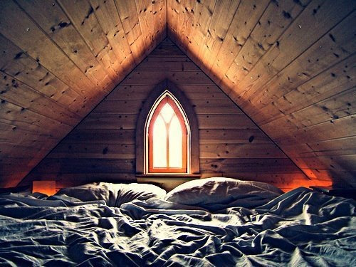 OMG COZY
