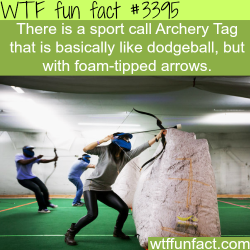 wtf-fun-factss:   Like dodge ball but with arrows (Archery tag)  -  WTF fun facts   I WANNA TRY THIS!!!!