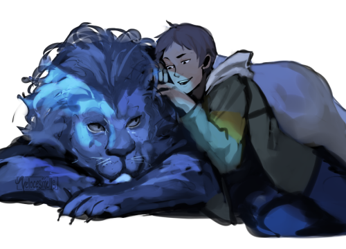 velocesmells:  Lions and their paladins 