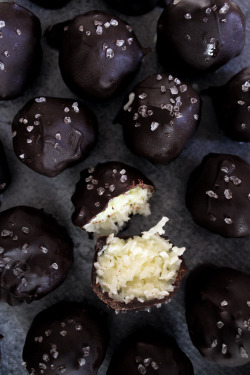 lyricfanatic:  authenticpandas:  sweetoothgirl:  Salted Dark Chocolate Coconut Bites  DROOLS PROFUSELY.   Ah ah ah ahhhhhh give me all the bites