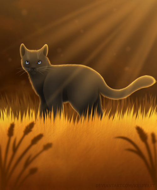 I had to draw this- I read Crowfeather&rsquo;s Trial the day it was released and I actually real