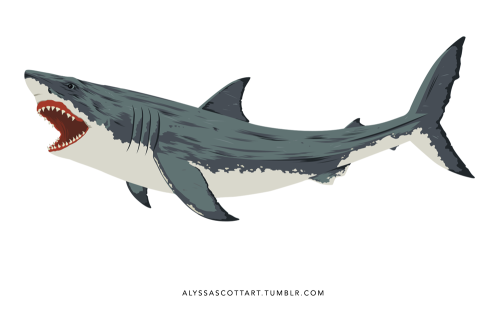 The Jaws decal set I illustrated is up! Just in time for shark week too.  You can see more details h