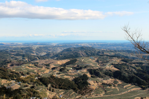 the tea fields of shizuoka prefecture from the top of awagatake mountain in kakegawa city