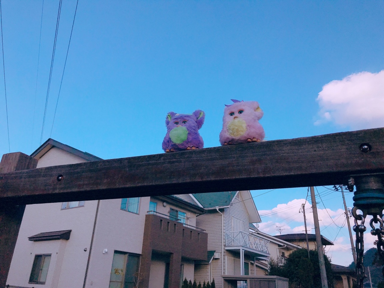 Am I Furby Am I Furby