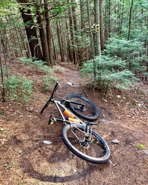 44bikes: I went down, down, down… that Trail of FI-RE. // #sweartoshred