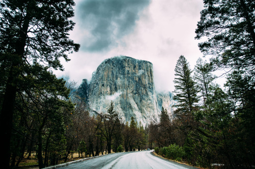 lensblr-network: Yosemite - December 2015 (Day 3) photo by Tony Pham  (tony-pham.tumblr.com)