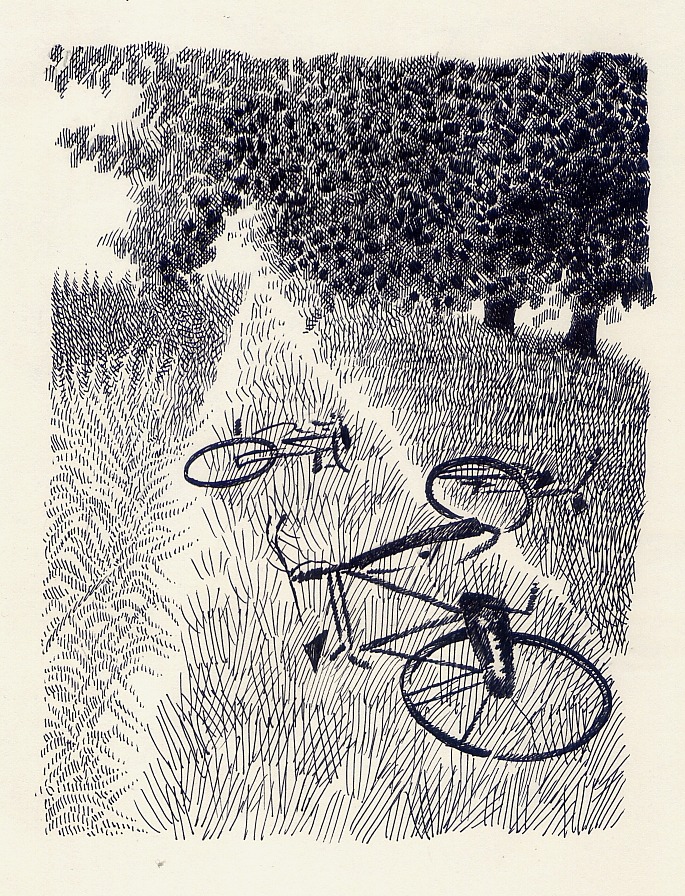 1000drawings:  pia valentinis 
