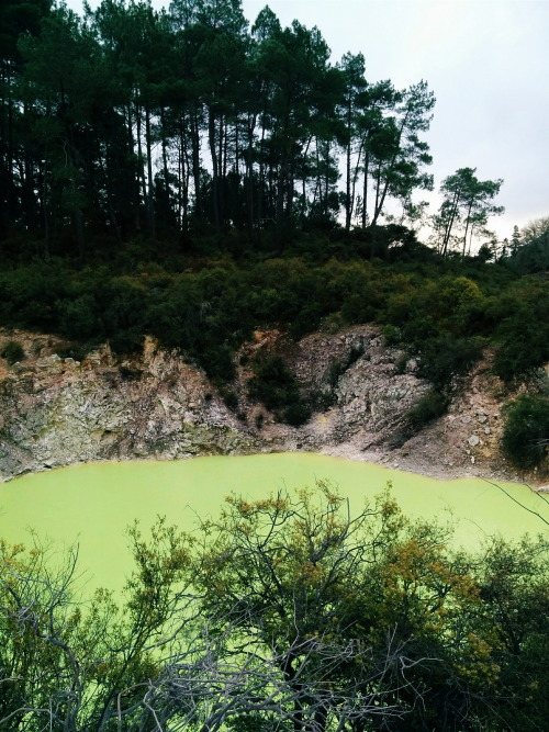 aratrikag05: Steamy and vibrant geothermal landscapes from Rotorua.