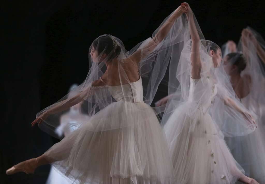 the-sugarplum-fairy: Artists of San Francisco Ballet  Act 2 of Giselle 