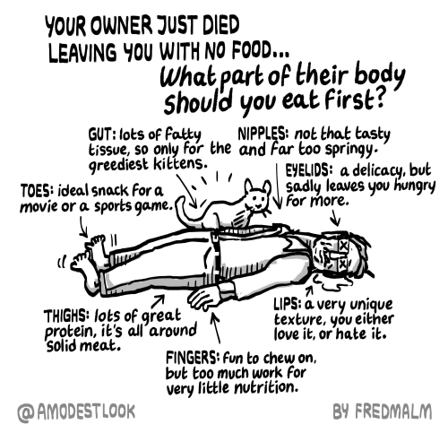 Your owner just died leaving you with no food…