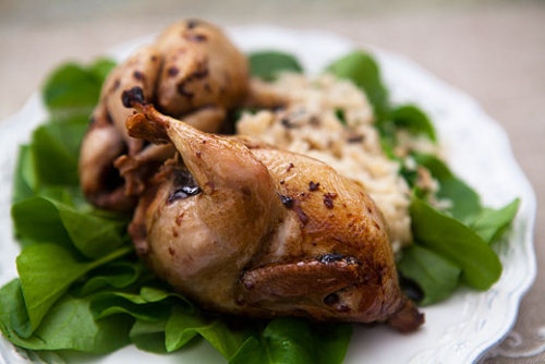 in-my-mouth:  Roast Quail with Balsamic Reduction