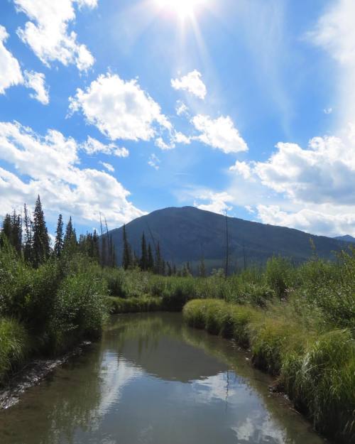 #echocreek #vermillionlakes #banff #alberta #suptherockies #outdoortherapy #paddleboarding #paddle #