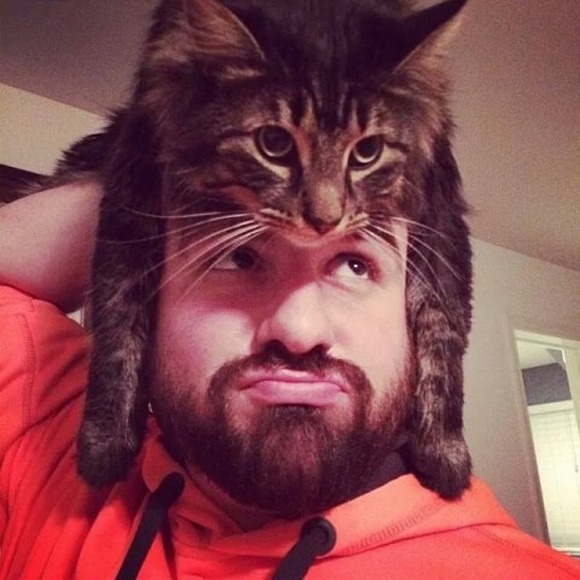 catasters:  Cap Cat