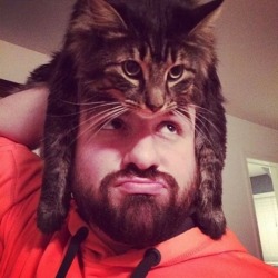 Catasters:  Cap Cat