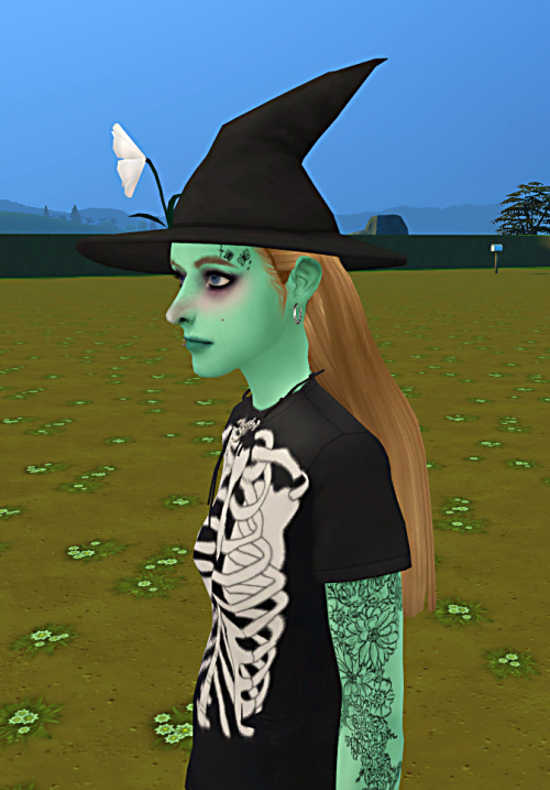 Pov When You Realise How Horrendous Your Stardew Valley Farm Is As You Try To Build It In The Sims