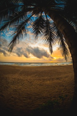 Atroy9:  Sri Lanka.  Https://500Px.com/Andytroyhttp://Andytroy.nlhttp://Instagram.com/Atroy9Http://Facebook.com/Andytroymultimedia