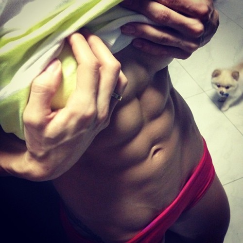sexygymchicks:  @bellafalconi_fitness: Post cheat meal abs. People don’t believe me when I tell them I have 1 or 2 cheat meals every 7 days. I do! Cheat meals are important to shock your metabolism and above all, to keep you focused on your goals. When