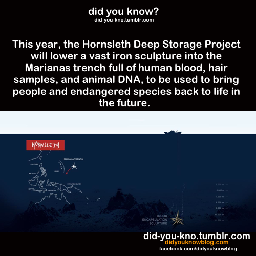 did-you-kno:  Source