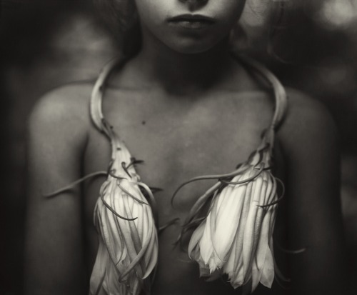 Sally Mann (American, b. 1951, Lexington, VA, USA) - Night Blooming Cereus, 1988  Photography / Gela