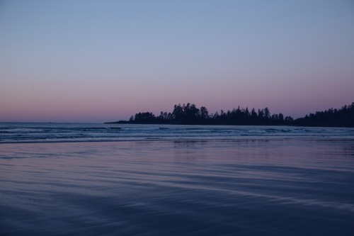 so twenty seventeen got out to a fast start. Tofino was good, surf was great, tacos were better. tur