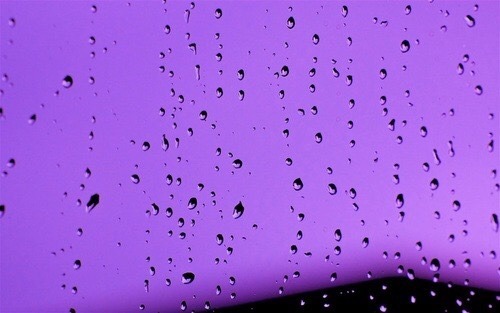 “Purple rain” -t.m.
