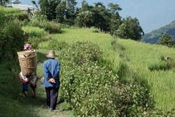 two farmers returning to the village for the celebration