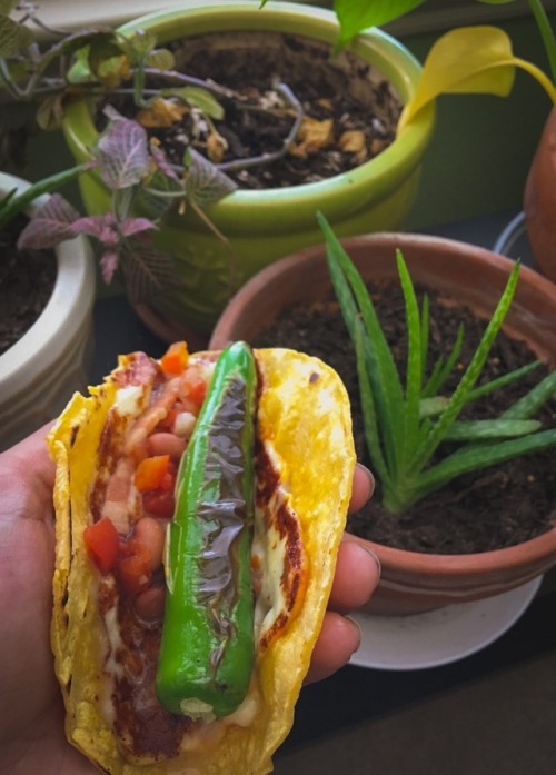 amomexico:Un taco botanero  Sencillo pero vaya que sabroso