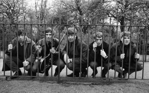 reluctant-martyrs: Outdoor portrait of the mod band The Animals behind a metal fence, c. 1964 ©