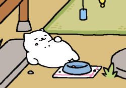spaceshiny:  Watch Tubbs change color to