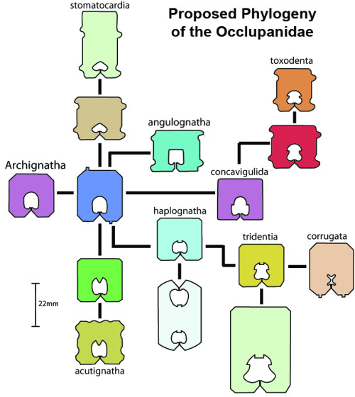 katzedecimal - joasakura - naamahdarling - snowysauropteryx - wnyc...