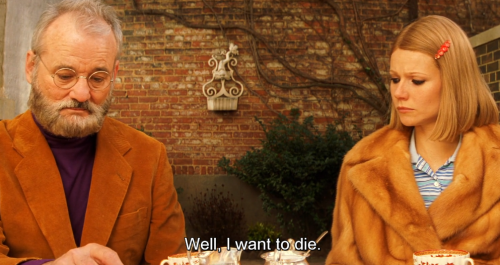 XXX hirxeth:The Royal Tenenbaums (2001) dir. photo