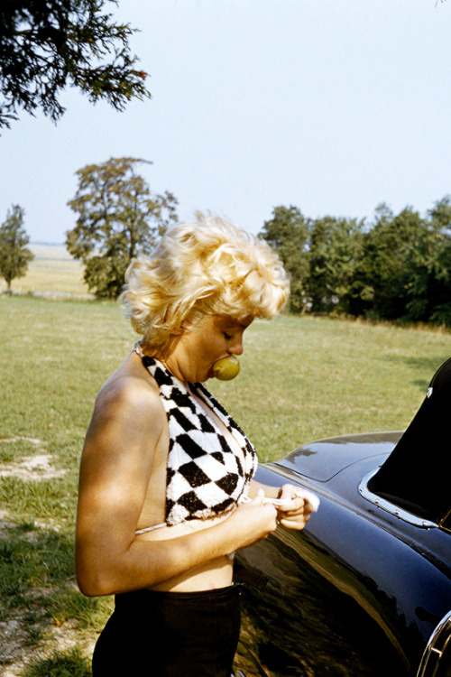 Marilyn photographed by Eve Arnold, 1955