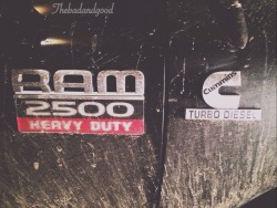 thebadandgood:  Mmmm Cummins (: 