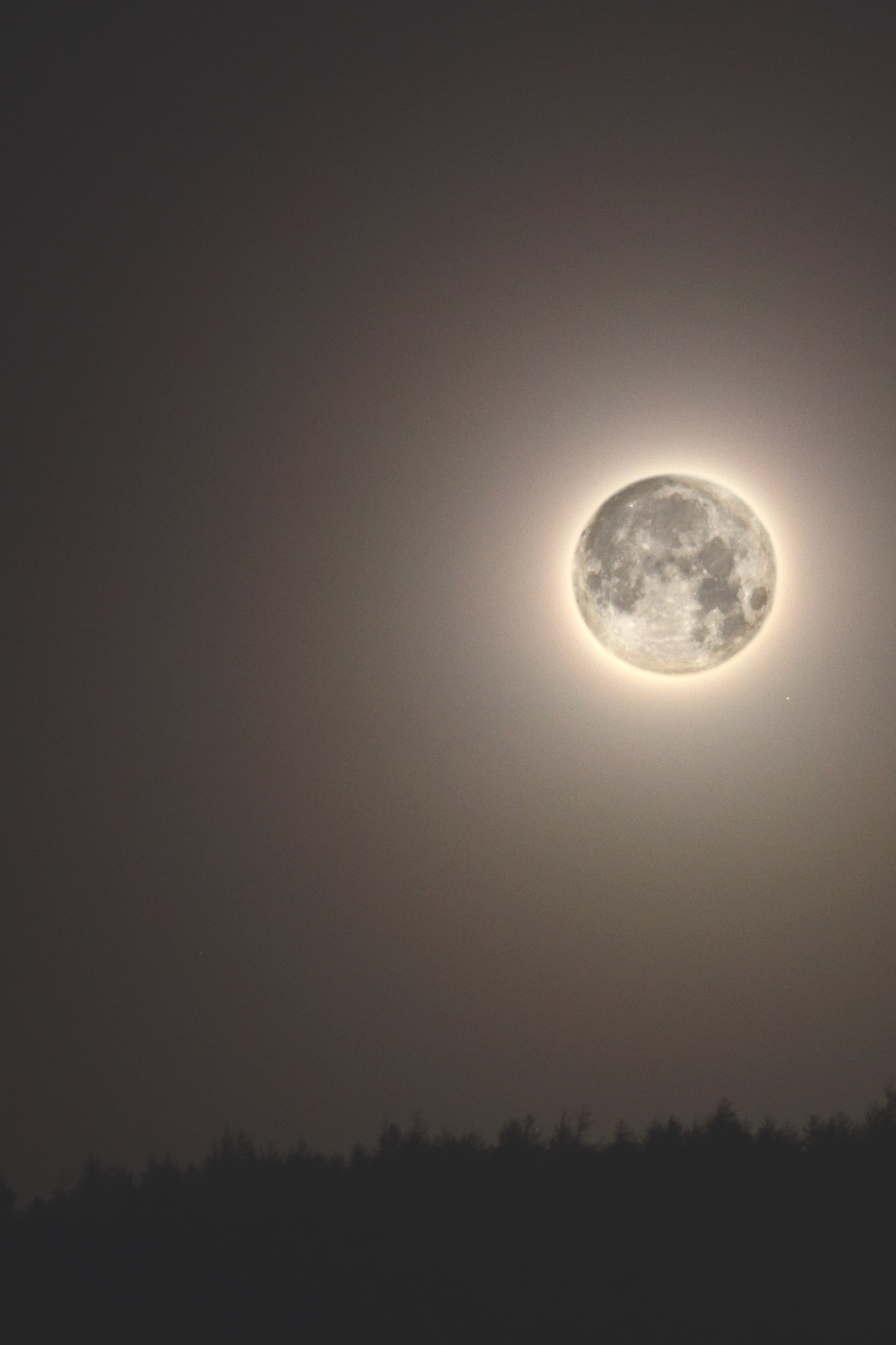 wavemotions:  FULL MOON SETTING - DECEMBER 2013