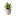 unknownplants:Apparently im not immune to steddie brainrot…